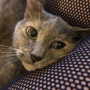 Meet your Posher, April